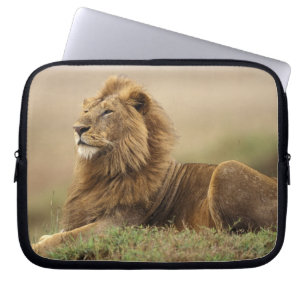 Funda Para Portátil Kenia, Masai Mara León macho