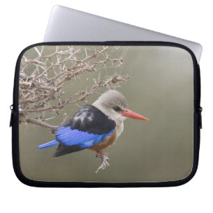 Funda Para Portátil Kenia. Primer plano de martín pescador cabecigrís