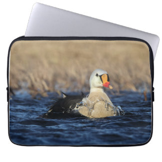 Funda Para Portátil King Eider Bird