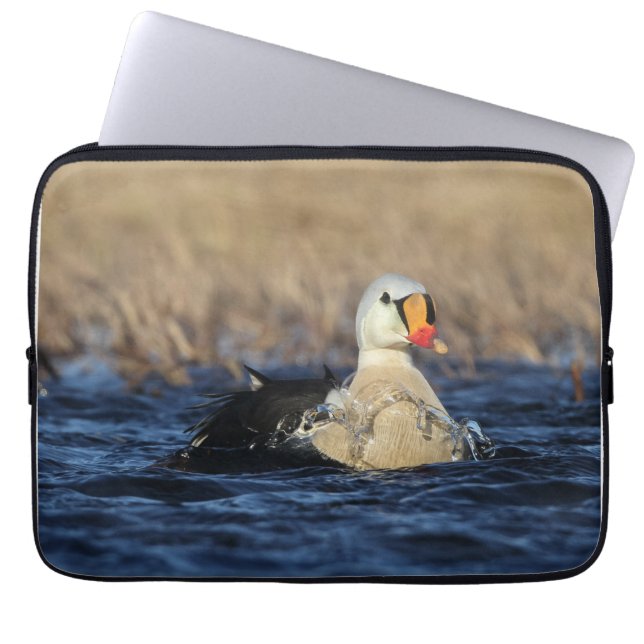 Funda Para Portátil King Eider Bird (Frente)