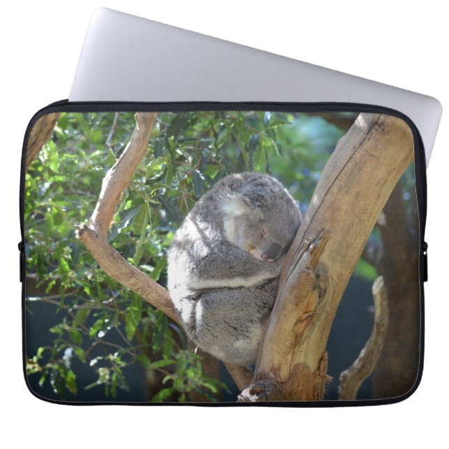 Funda Para Portátil Koala del sueño (Frente)