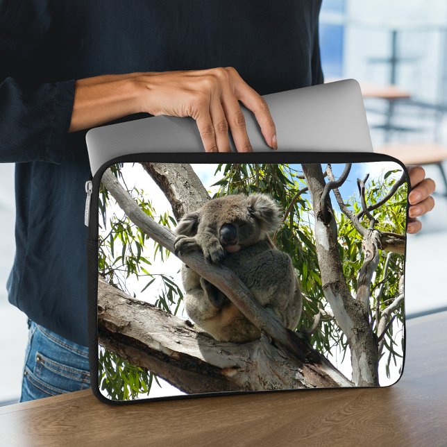 Funda Para Portátil Koala - Dormido (Subido por el creador)