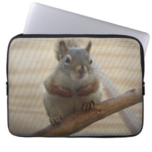 Funda Para Portátil La ardilla de la camada