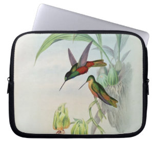 Funda Para Portátil La estrella de Bonaparte afrontó el colibrí