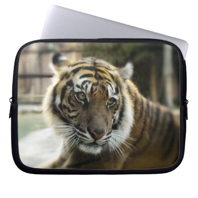 Funda Para Portátil La gracia de Tiger (Frente)