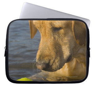 Funda Para Portátil Labrador amarillo con una pelota de tenis en el