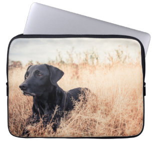 Funda Para Portátil Labrador Negro En Grasa Seca