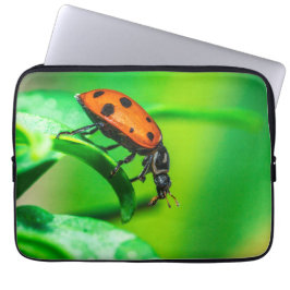 Funda Para Portátil Ladybug Leaf