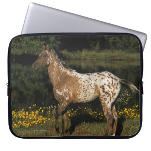 Funda Para Portátil Lago que hace una pausa horse del Appaloosa