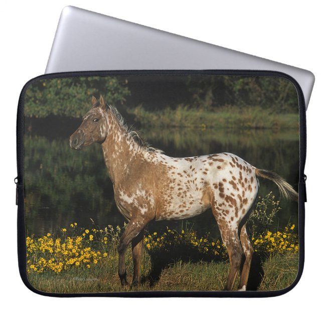 Funda Para Portátil Lago que hace una pausa horse del Appaloosa (Frente)