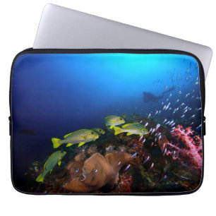 Funda Para Portátil Laja Ampat 3 subacuáticos