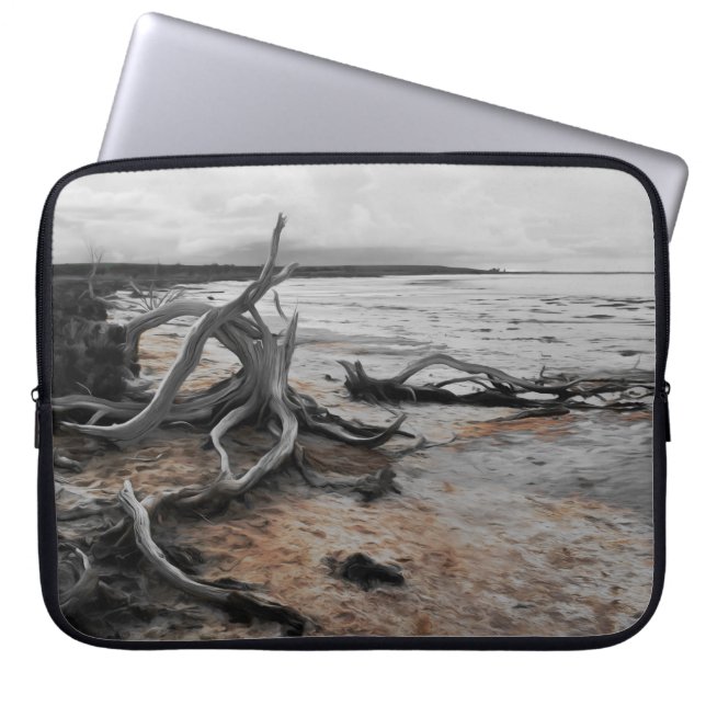 Funda Para Portátil Lake Tyrrell Natural Forces (Frente)