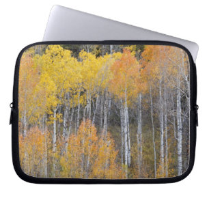 Funda Para Portátil Lambert Hollow, árboles de álamo