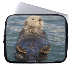 Funda Para Portátil Las nutrias marinas juegan en icebergs en Surprise