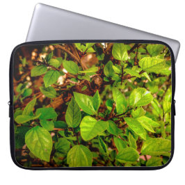 Funda Para Portátil Leafs & Sun