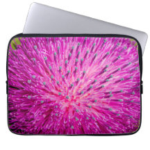 Leche con el cardo cerrado