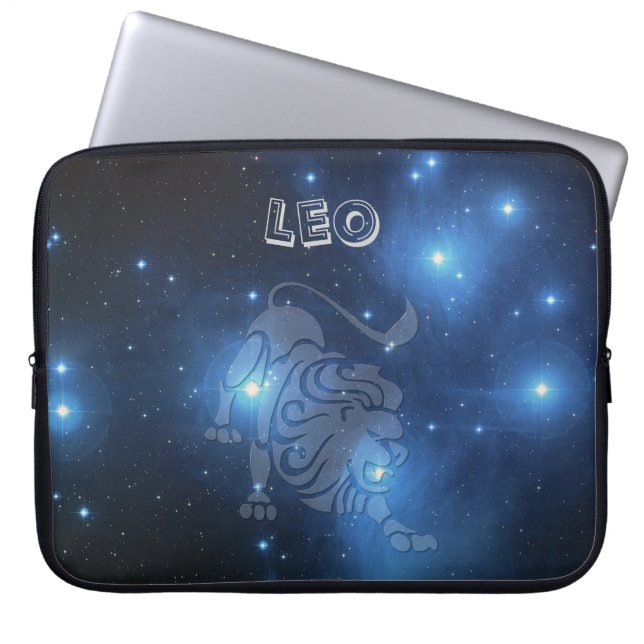 Funda Para Portátil Leo transparente (Frente)