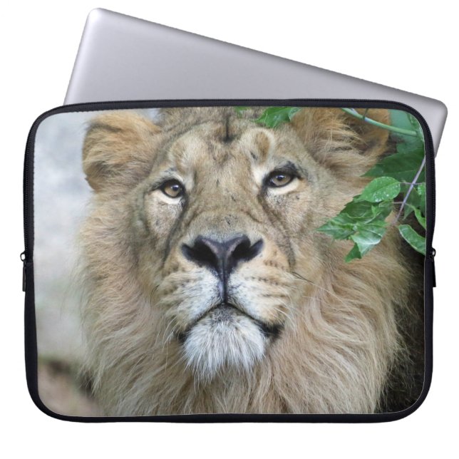 Funda Para Portátil León 002 (Frente)