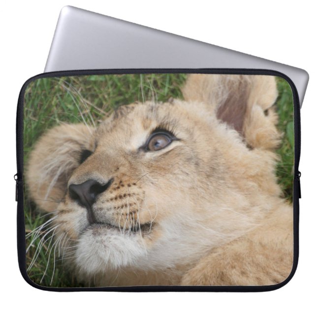 Funda Para Portátil León 022 (Frente)