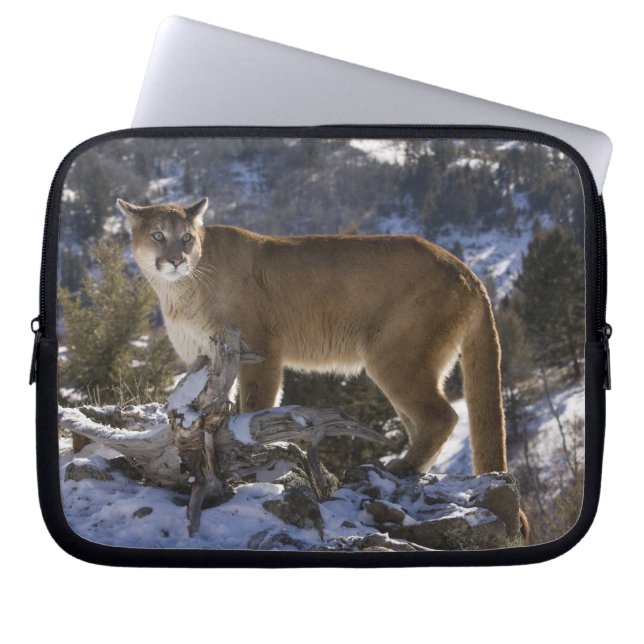 Funda Para Portátil León de montaña (Frente)