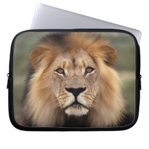 Funda Para Portátil León - el rey de la selva