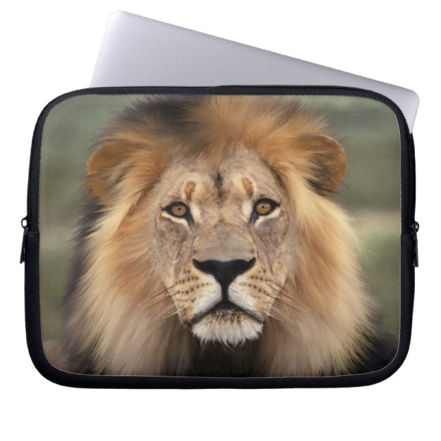 Funda Para Portátil León - el rey de la selva (Frente)