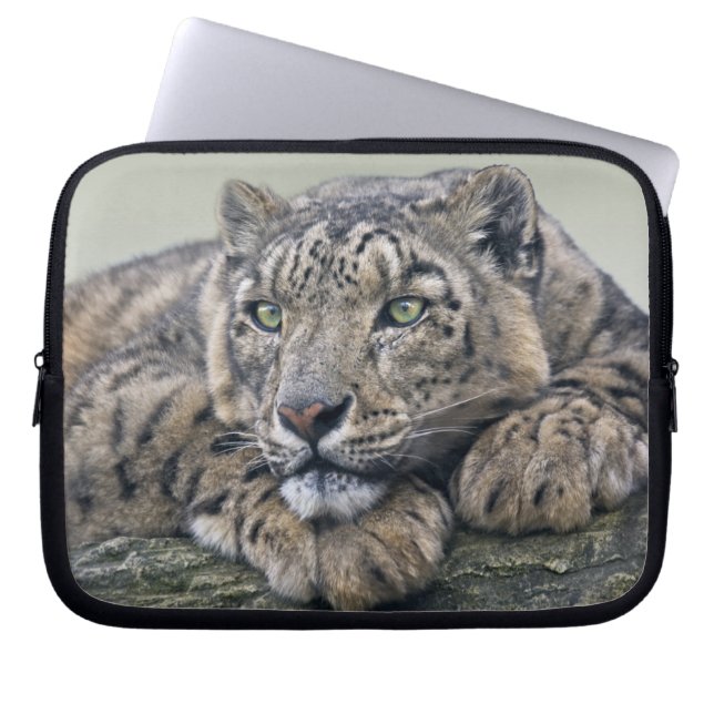 Funda para portátil Leopard Dreaming (Frente)