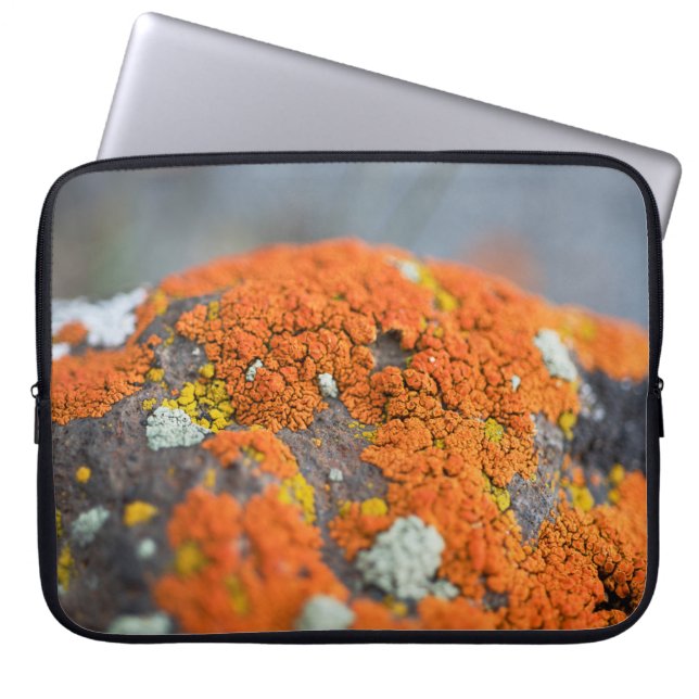 Funda Para Portátil Lichen naranja moss stone gris (Frente)