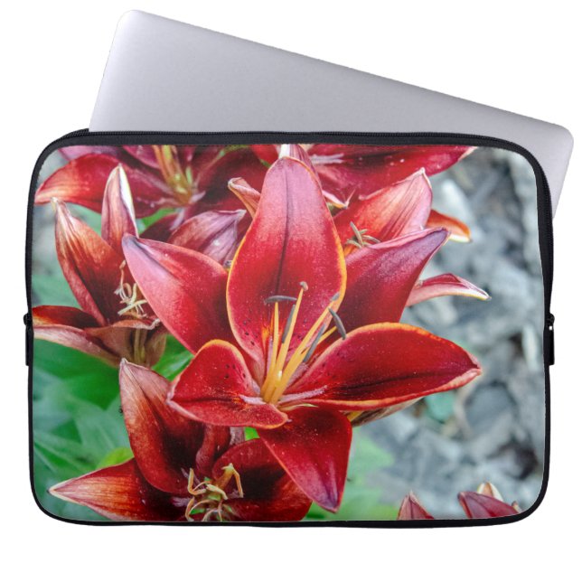 Funda Para Portátil Lily Stargazer, Fotografía de Flor Roja (Frente)