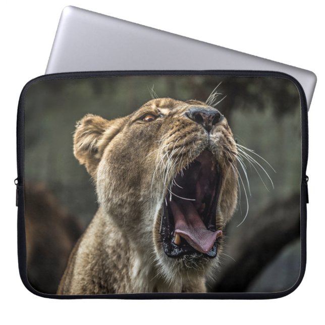 FUNDA PARA PORTÁTIL LIONESS YAWNING (Frente)