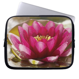 Funda Para Portátil Lirio de agua