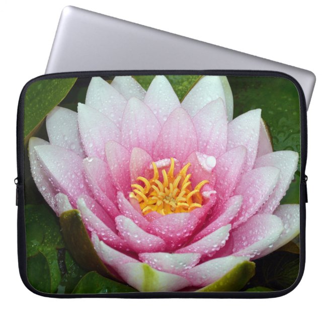 Funda Para Portátil Lirio de agua rosada (Frente)