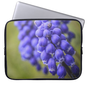 Funda Para Portátil Little Blue Buds