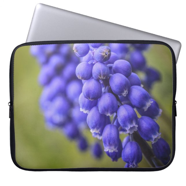 Funda Para Portátil Little Blue Buds (Frente)