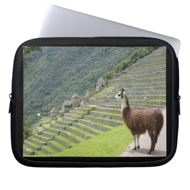 Funda Para Portátil llama (Frente)