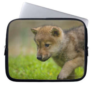 Funda Para Portátil Lobo del bebé
