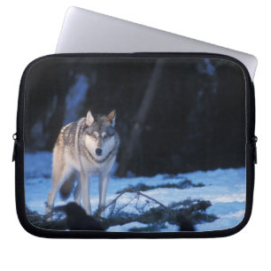 Funda Para Portátil lobo gris, Canis lupus, en las estribaciones