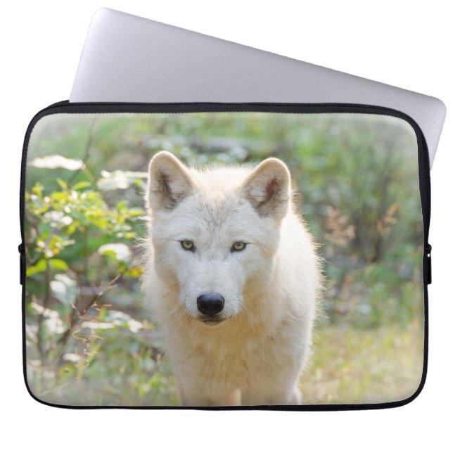 Funda Para Portátil Lobo gris, fotografía animal de canina tranquila (Frente)