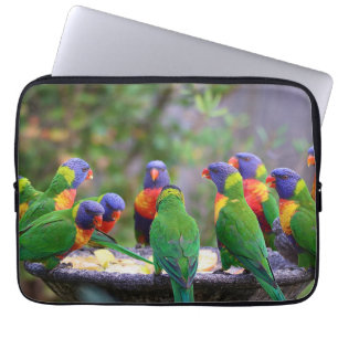 Funda Para Portátil Loros Loros Arcoíris Coloridos Comiendo