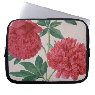 Funda Para Portátil Los Peonies, platean 46 del Florilegium de Nassau