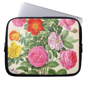 Funda Para Portátil Los rosas, platean 4 del Florilegium de Nassau