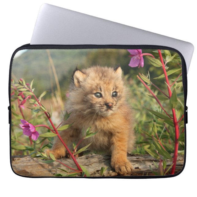 Funda Para Portátil Lynx Kitten canadiense, Alaska (Frente)