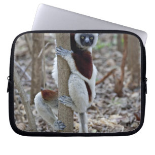 Funda Para Portátil Madagascar, Reserva Ankarafantsika; Ampijoroa;