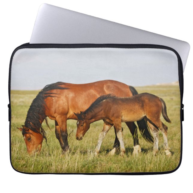 Funda Para Portátil Madre de caballo salvaje y potro pastando (Frente)