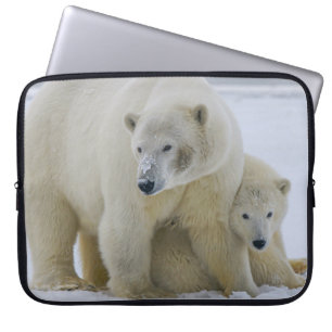 FUNDA PARA PORTÁTIL MADRE DE OSO POLAR Y CUBO AL NORTE DE ALASKA