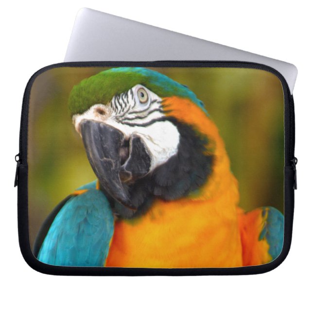 Funda Para Portátil Majestic Macaw (Frente)