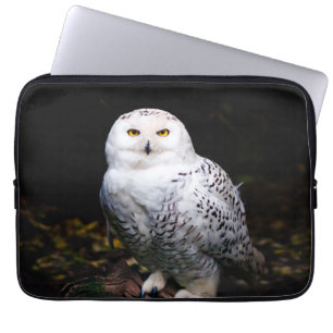 Funda Para Portátil Majestuoso búho de invierno