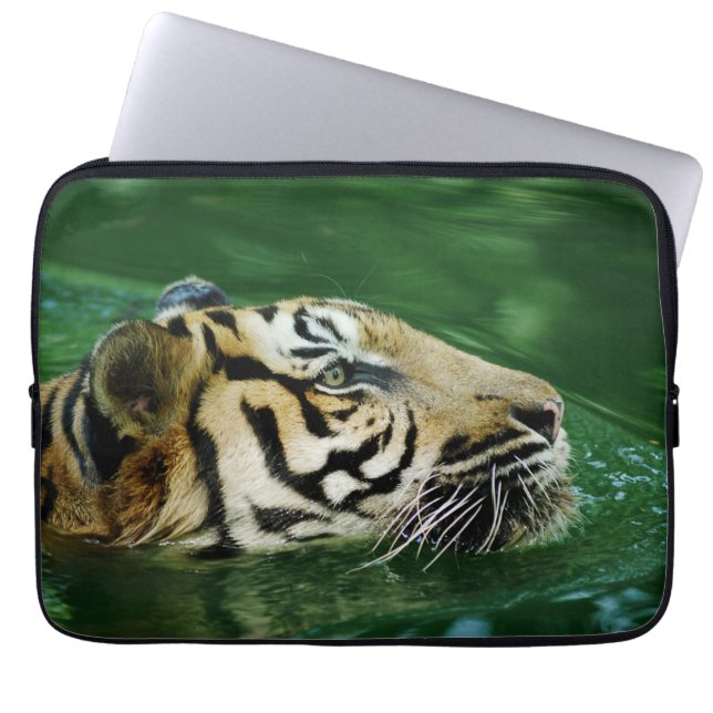 Funda Para Portátil Malayan Tiger Swimming Headshot (Frente)