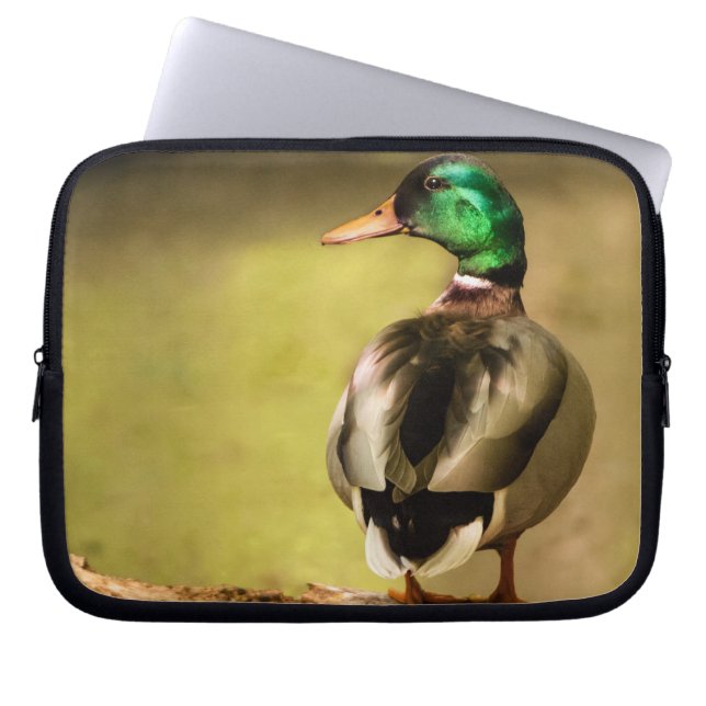 Funda Para Portátil Mallard Duck (Frente)