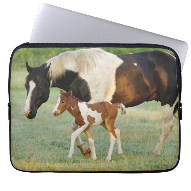 Funda Para Portátil Mamá y pintura recién nacida Filly (Frente)